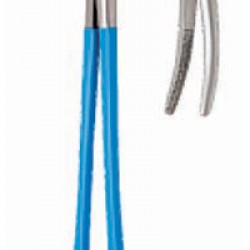 Willson Hey Forceps (STR)