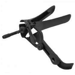 Pederson Graves Speculum